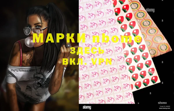 ALPHA-PVP Новозыбков